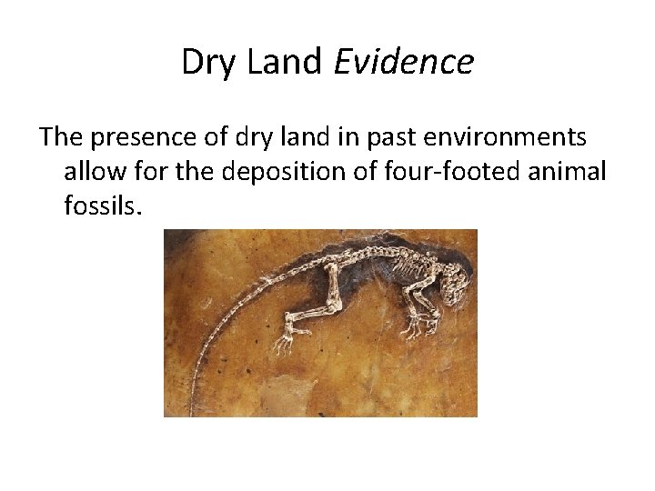 Dry Land Evidence The presence of dry land in past environments allow for the