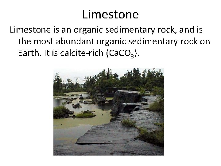Limestone is an organic sedimentary rock, and is the most abundant organic sedimentary rock