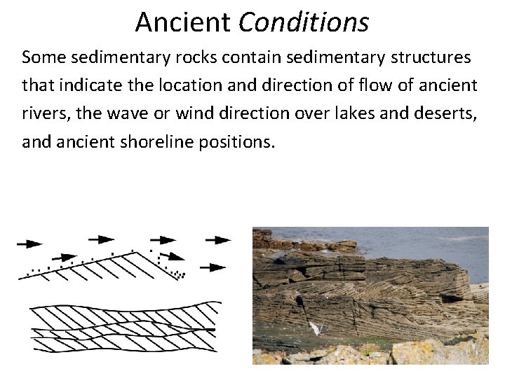 Ancient Conditions Some sedimentary rocks contain sedimentary structures that indicate the location and direction