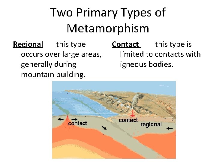 Two Primary Types of Metamorphism Regional this type occurs over large areas, generally during