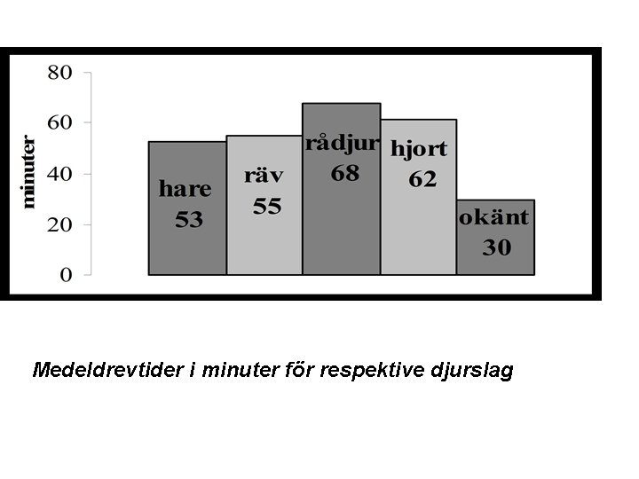Medeldrevtider i minuter för respektive djurslag 