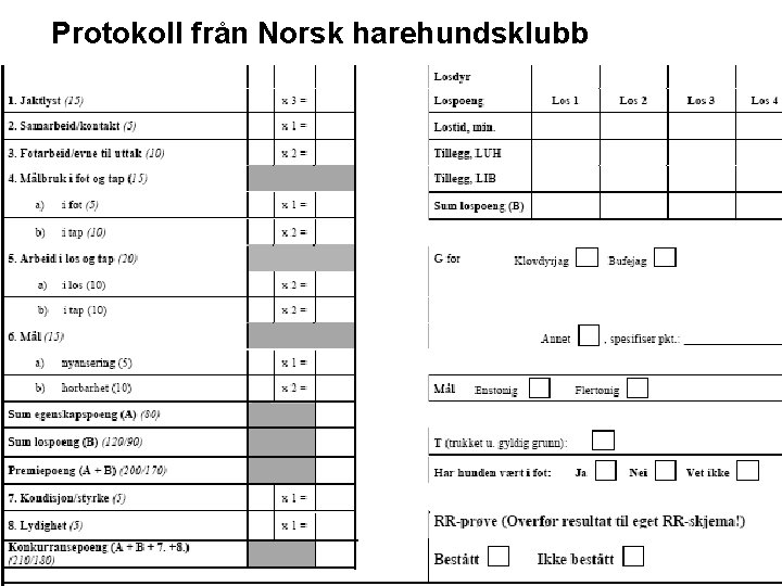 Protokoll från Norsk harehundsklubb 