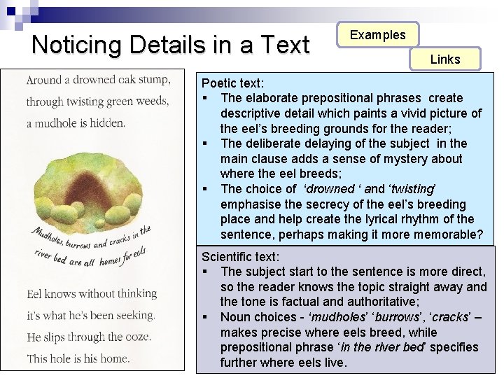 Noticing Details in a Text Examples Links Poetic text: § The elaborate prepositional phrases