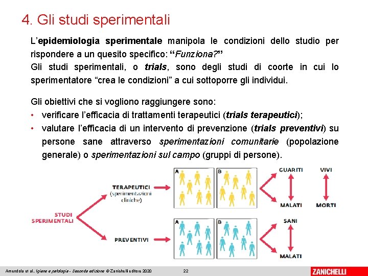 4. Gli studi sperimentali L’epidemiologia sperimentale manipola le condizioni dello studio per rispondere a