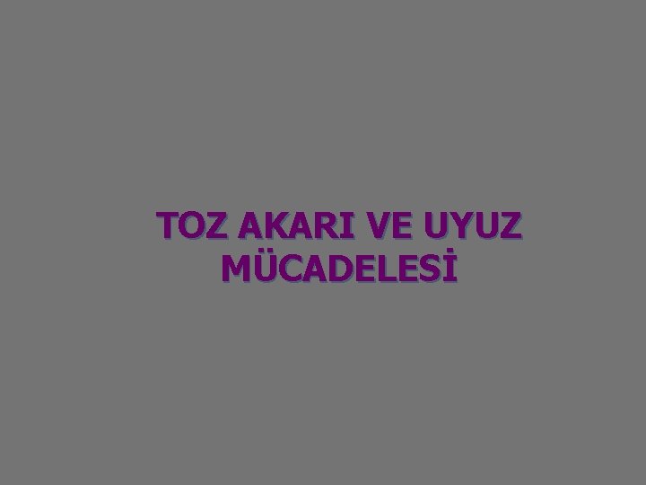 TOZ AKARI VE UYUZ MÜCADELESİ 