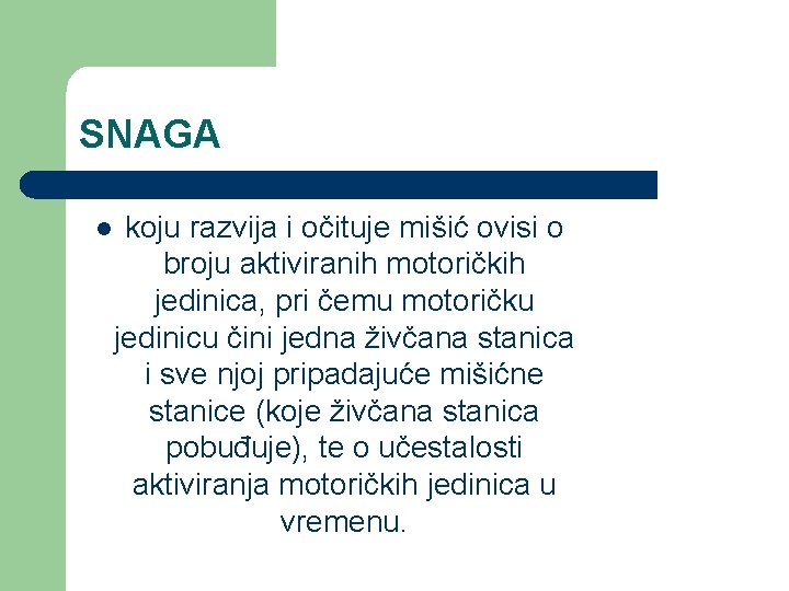 SNAGA l koju razvija i očituje mišić ovisi o broju aktiviranih motoričkih jedinica, pri