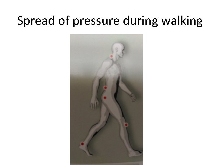 Spread of pressure during walking 