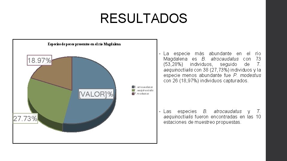 RESULTADOS Especies de peces presentes en el río Magdalena • La especie más abundante