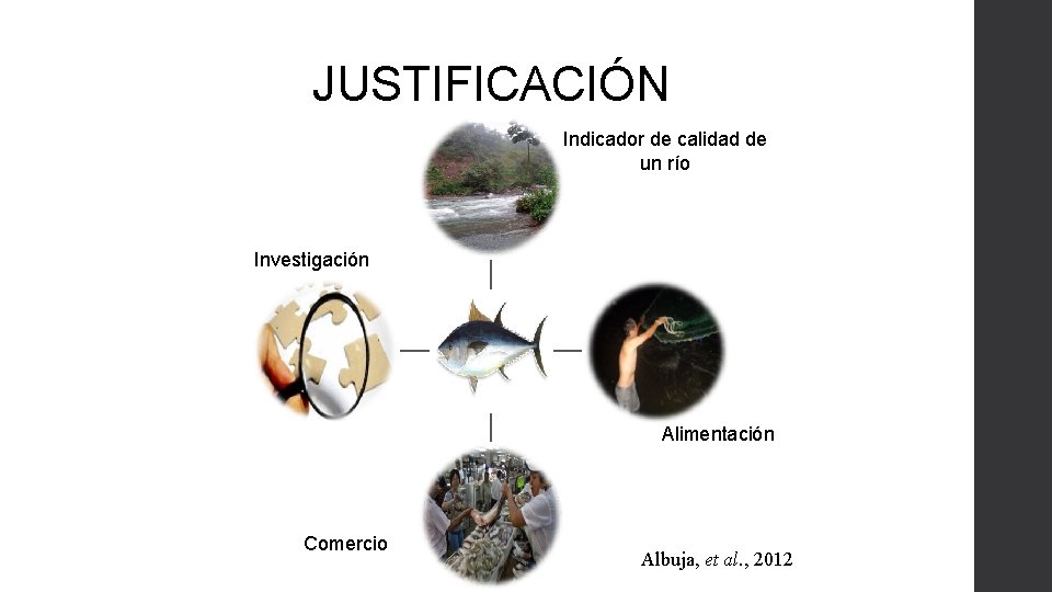 JUSTIFICACIÓN Indicador de calidad de un río Investigación Alimentación Comercio Albuja, et al. ,