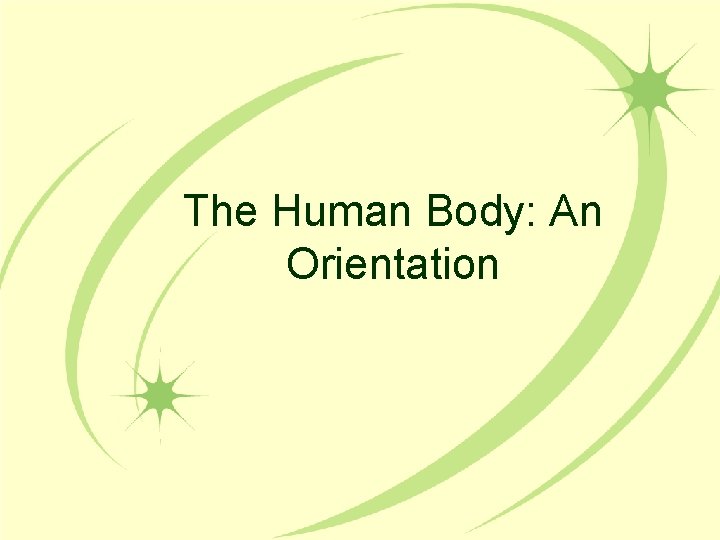 The Human Body: An Orientation 