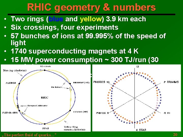RHIC geometry & numbers • • • Two rings (blue and yellow) 3. 9