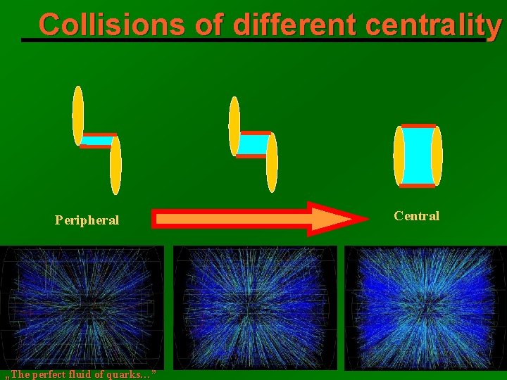 Collisions of different centrality Peripheral „The perfect fluid of quarks…” Central 