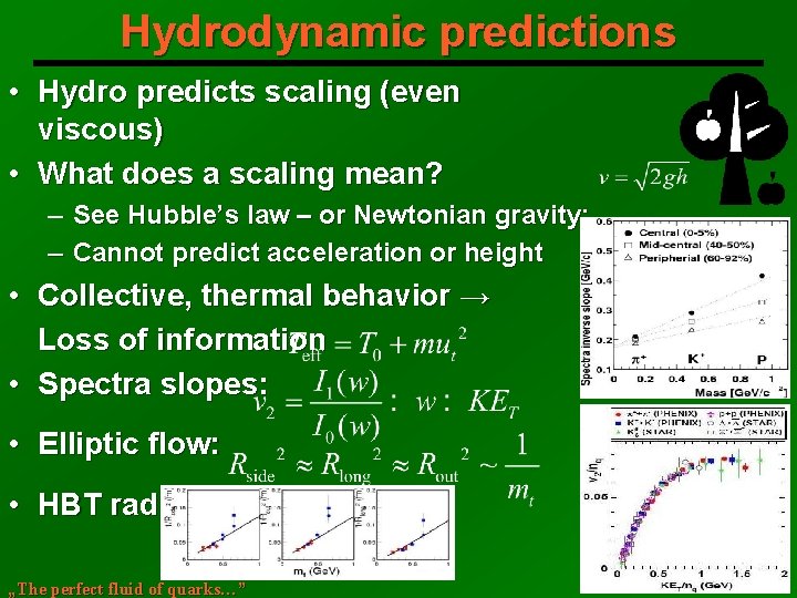 Hydrodynamic predictions • Hydro predicts scaling (even viscous) • What does a scaling mean?