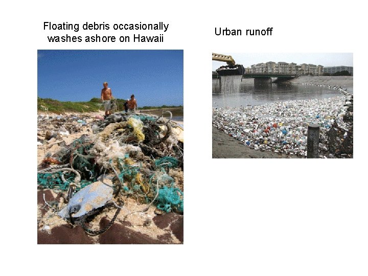 Floating debris occasionally washes ashore on Hawaii Urban runoff 