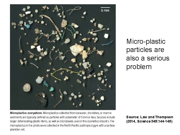 Micro-plastic particles are also a serious problem Source: Law and Thompson (2014, Science 345: