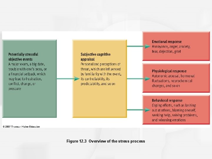 Figure 12. 3 Overview of the stress process 
