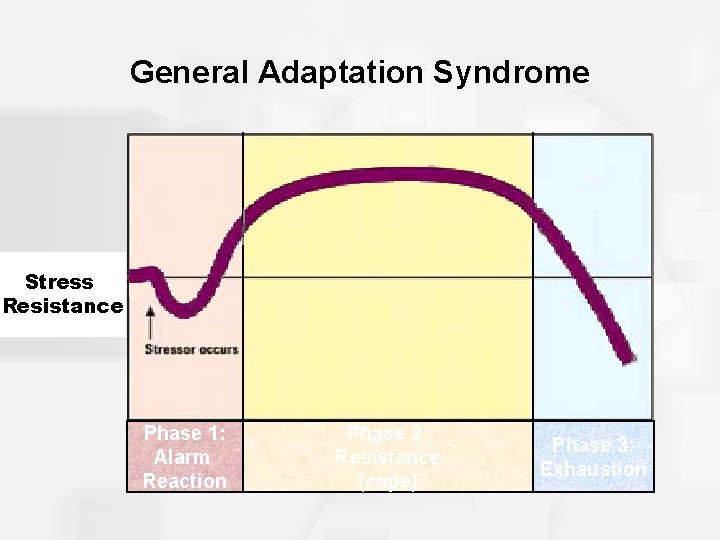 General Adaptation Syndrome Stress Resistance Phase 1: Alarm Reaction Phase 2: Resistance (cope) Phase