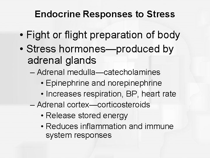 Endocrine Responses to Stress • Fight or flight preparation of body • Stress hormones—produced