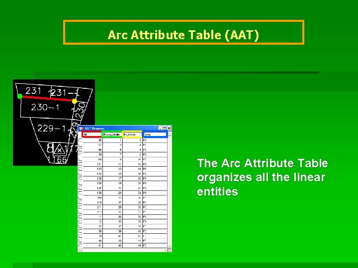 Arc Attribute Table (AAT) The Arc Attribute Table organizes all the linear entities 