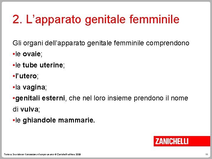 2. L’apparato genitale femminile Gli organi dell’apparato genitale femminile comprendono • le ovaie; •