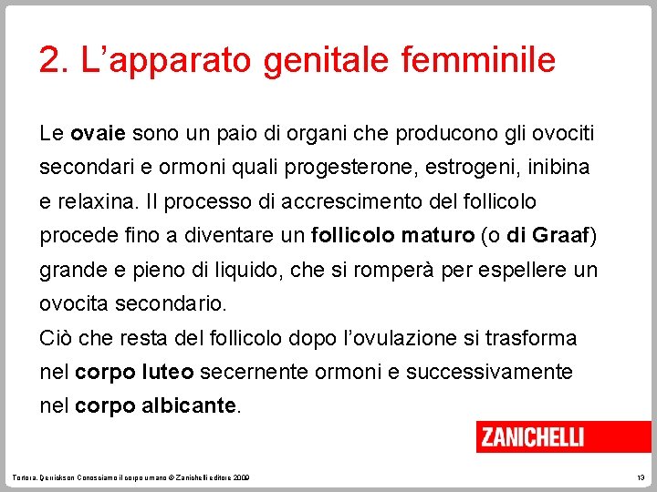 2. L’apparato genitale femminile Le ovaie sono un paio di organi che producono gli