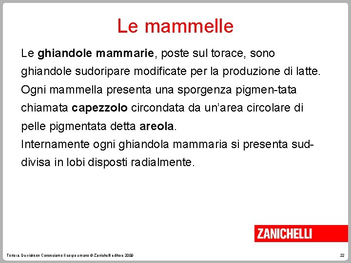 Le mammelle Le ghiandole mammarie, poste sul torace, sono ghiandole sudoripare modificate per la