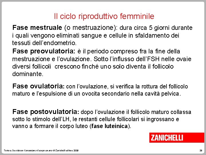 Il ciclo riproduttivo femminile Fase mestruale (o mestruazione): dura circa 5 giorni durante i