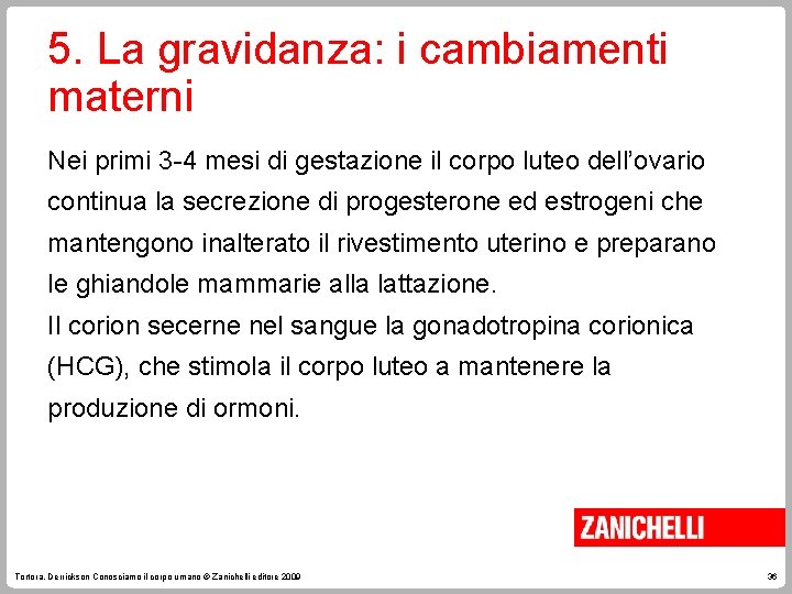5. La gravidanza: i cambiamenti materni Nei primi 3 -4 mesi di gestazione il
