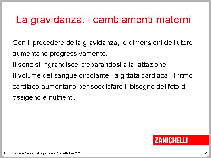 La gravidanza: i cambiamenti materni Con il procedere della gravidanza, le dimensioni dell’utero aumentano