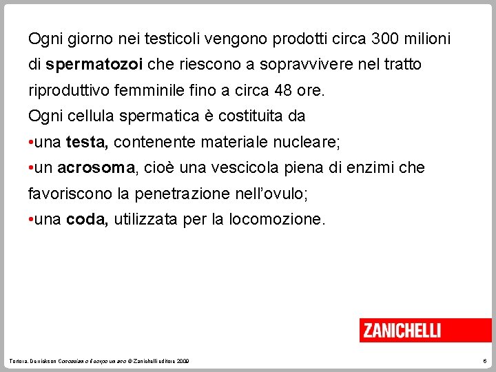 Ogni giorno nei testicoli vengono prodotti circa 300 milioni di spermatozoi che riescono a