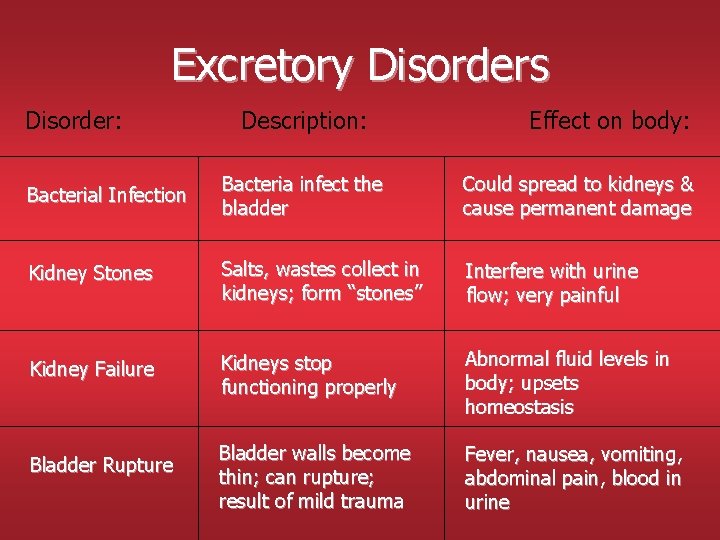 Excretory Disorders Disorder: Description: Effect on body: Bacterial Infection Bacteria infect the bladder Could Excretory Disorders Disorder: Description: Effect on body: Bacterial Infection Bacteria infect the bladder Could