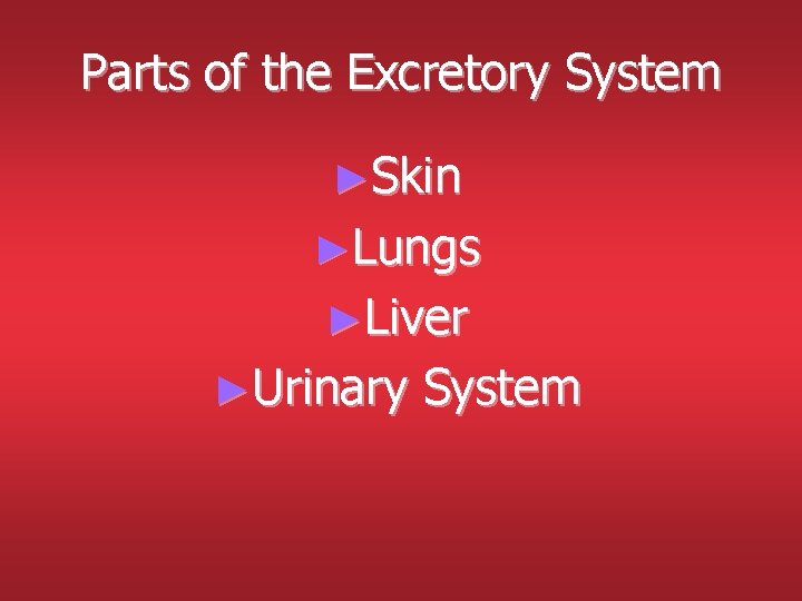 Parts of the Excretory System ►Skin ►Lungs ►Liver ►Urinary System Parts of the Excretory System ►Skin ►Lungs ►Liver ►Urinary System