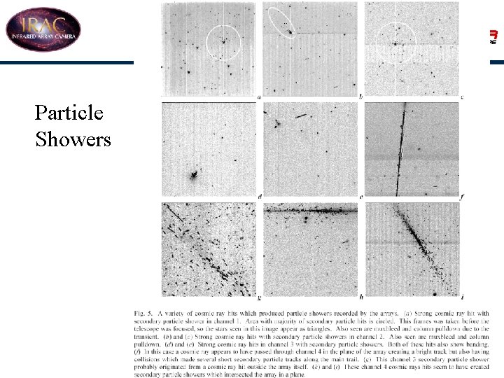 Particle Showers 11 -Jun-04 19 