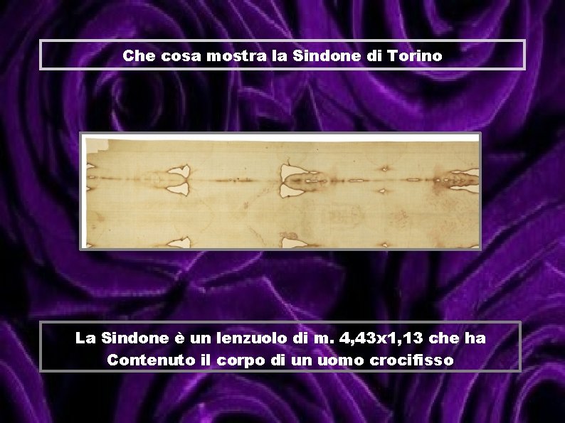 Che cosa mostra la Sindone di Torino La Sindone è un lenzuolo di m.