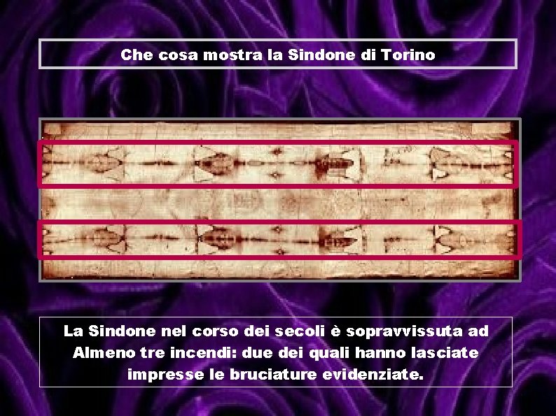 Che cosa mostra la Sindone di Torino La Sindone nel corso dei secoli è