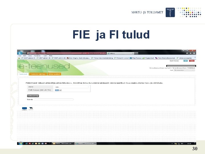 FIE ja FI tulud 30 