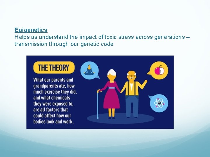 Epigenetics Helps us understand the impact of toxic stress across generations – transmission through