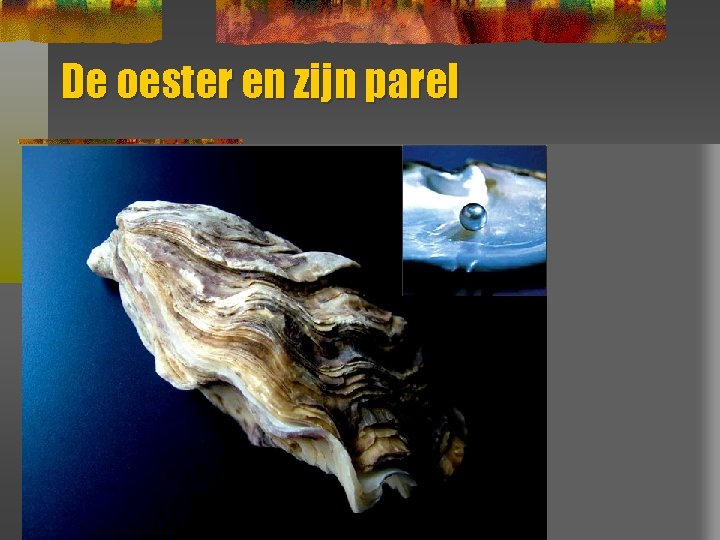 De oester en zijn parel 