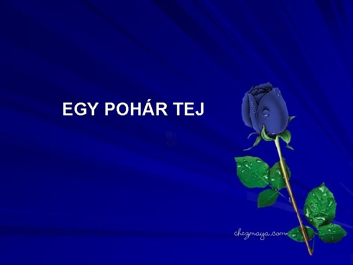 EGY POHÁR TEJ 