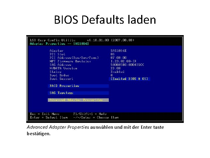 BIOS Defaults laden Advanced Adapter Properties auswählen und mit der Enter taste bestätigen. 