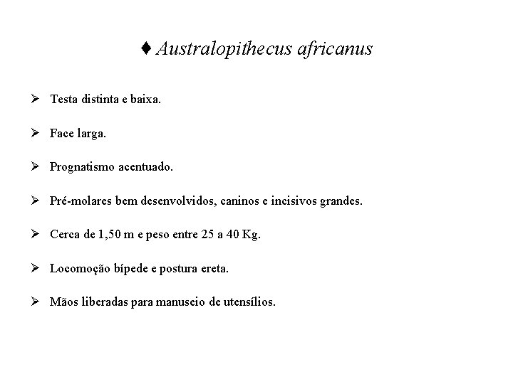 ♦ Australopithecus africanus Ø Testa distinta e baixa. Ø Face larga. Ø Prognatismo acentuado.