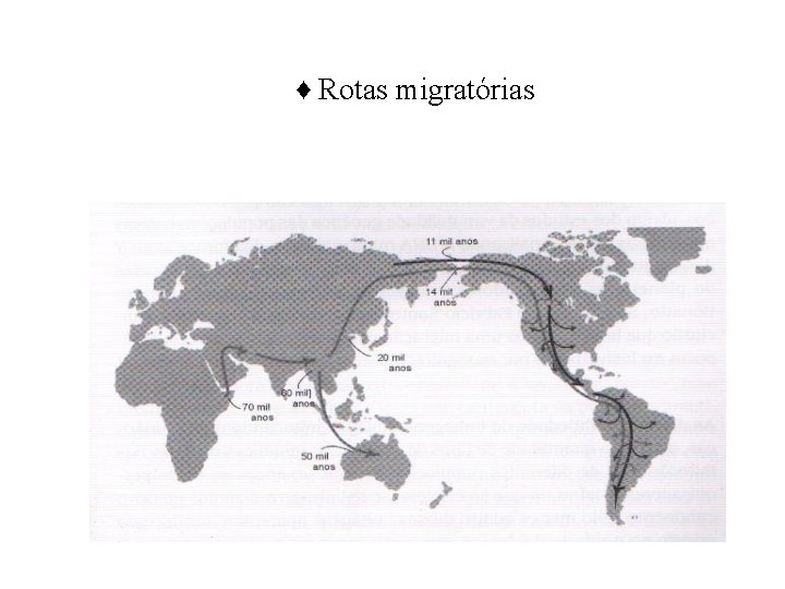 ♦ Rotas migratórias 