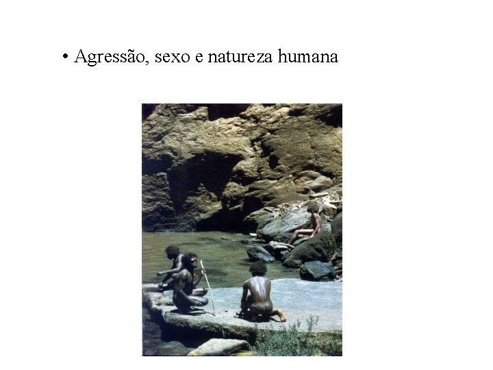  • Agressão, sexo e natureza humana 