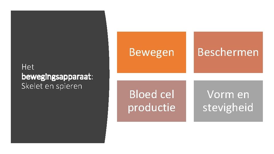 Het bewegingsapparaat: Skelet en spieren Bewegen Beschermen Bloed cel productie Vorm en stevigheid 