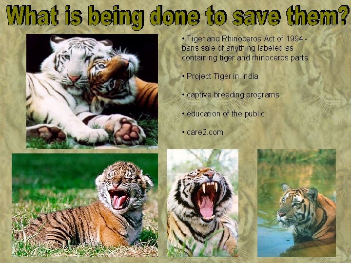  • Tiger and Rhinoceros Act of 1994 bans sale of anything labeled as