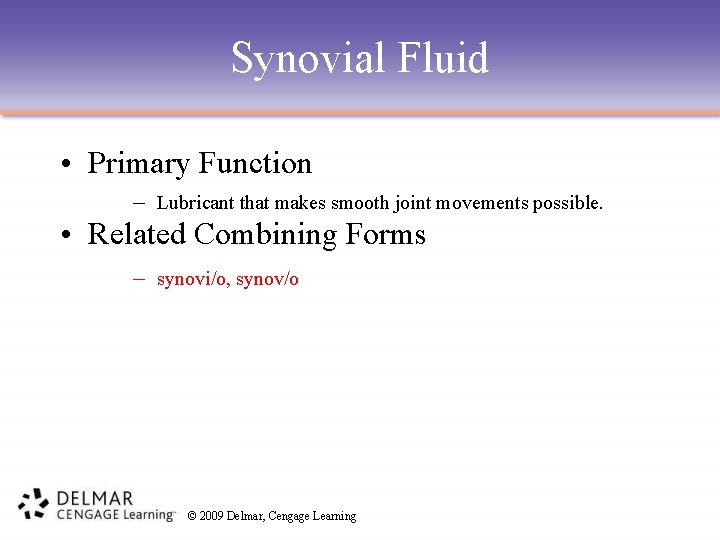 Synovial Fluid • Primary Function – Lubricant that makes smooth joint movements possible. •