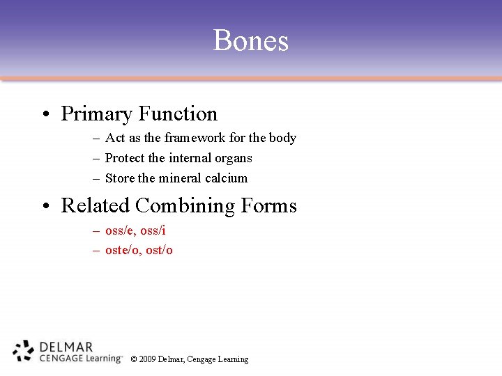 Bones • Primary Function – Act as the framework for the body – Protect