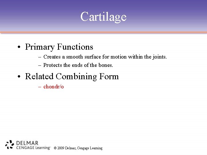 Cartilage • Primary Functions – Creates a smooth surface for motion within the joints.