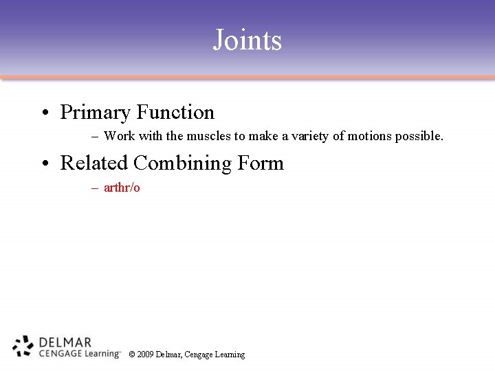 Joints • Primary Function – Work with the muscles to make a variety of