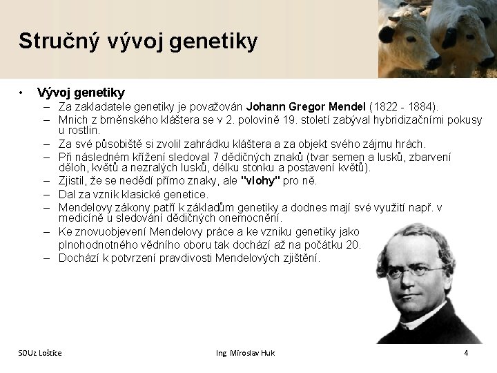 Stručný vývoj genetiky • Vývoj genetiky – Za zakladatele genetiky je považován Johann Gregor